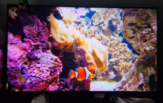 Sony Bravia KD-55X85J TV Negociable