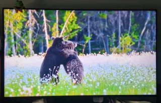 Sony Bravia KD-55X85J TV Negociable