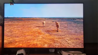 Sony Bravia KD-55X85J TV Negociable