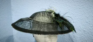 Pamela negra con plumas de pavo real