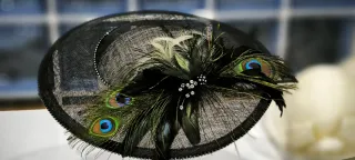 Pamela negra con plumas de pavo real