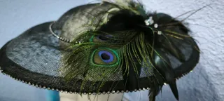 Pamela negra con plumas de pavo real