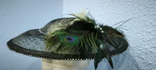 Pamela negra con plumas de pavo real