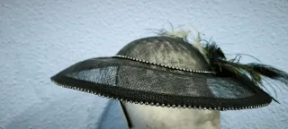 Pamela negra con plumas de pavo real