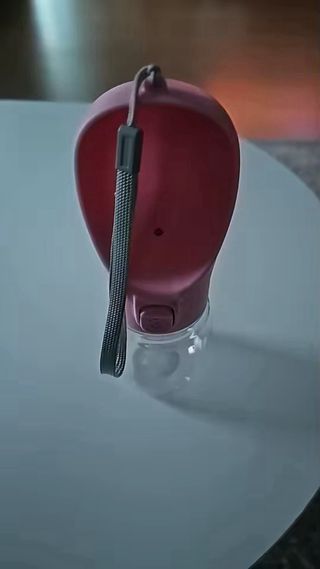 Botella agua perro sin fugas para paseo