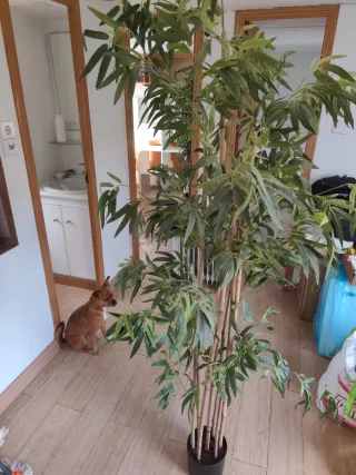 Planta de bambú artificial alta