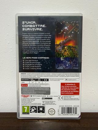 Minecraft Dungeons Hero Edition Gioco Switch