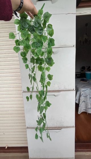Plantas Enredaderas Plástico Decoración