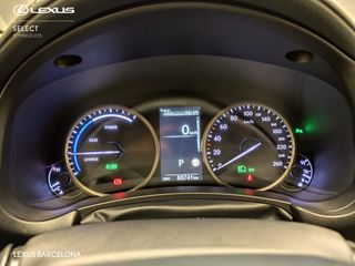 Lexus NX300h PRE 2021