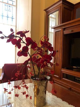 Piso en alquiler en San Lorenzo en Sevilla