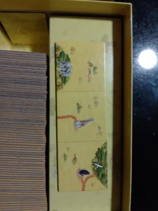 Carcassonne Safari Juego de Mesa