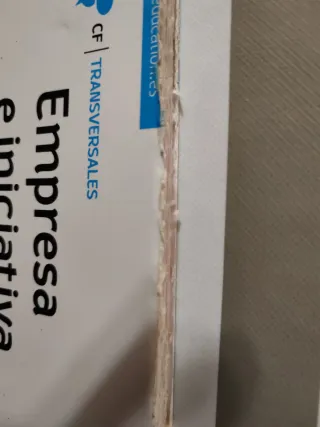 LA - Empresa e iniciativa emprendedora.