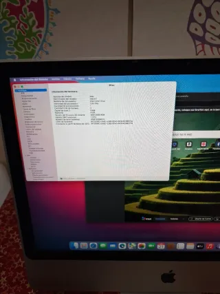 iMac 24" (Principios de 2009)  o cambio por algo