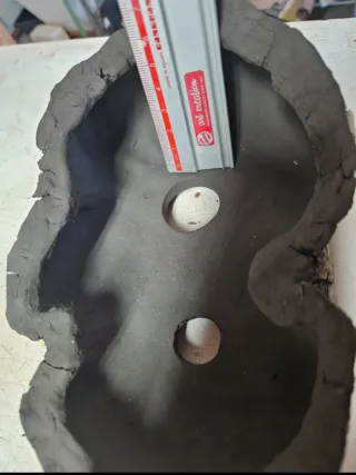 Laja bonsai, cactus, suculentas