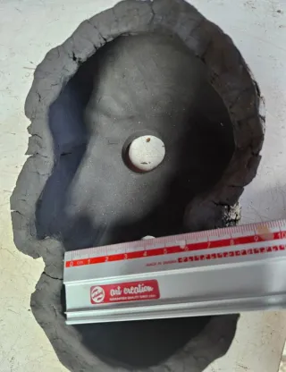 Laja bonsai, cactus, suculentas