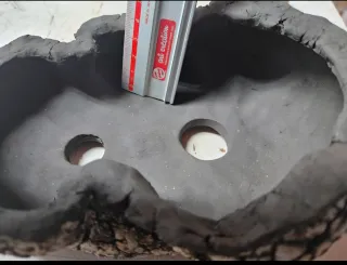 Laja bonsai, cactus, suculentas