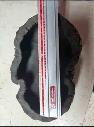 Laja bonsai, cactus, suculentas