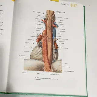 Atlas de Anatomia Humana 2 Tomos Con CD 21b: Ed...