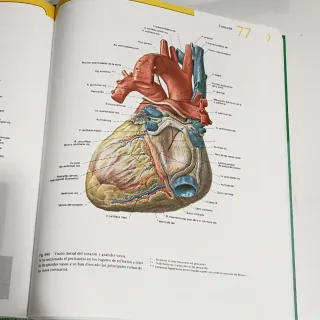 Atlas de Anatomia Humana 2 Tomos Con CD 21b: Ed...