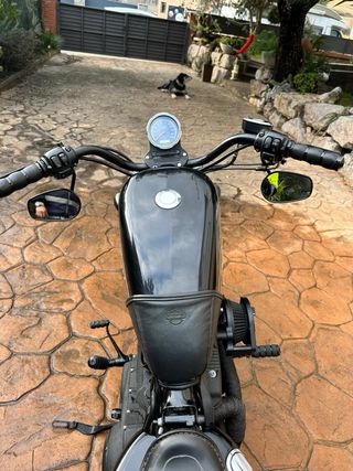 Harley Davidson Sportster 883R Custom