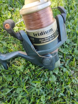 Cañas pesca y carretes