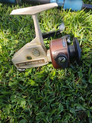 Cañas pesca y carretes