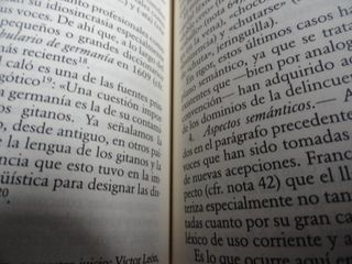 Bajarse al moro (Spanish Edition)