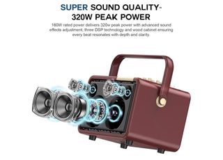 Sistema Karaoke SUPNIN Portátil 320W