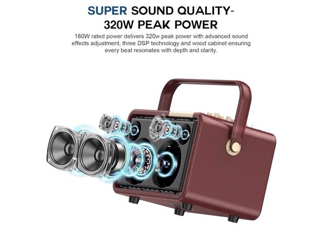 Sistema  Karaoke SUPNIN Portátil 320W