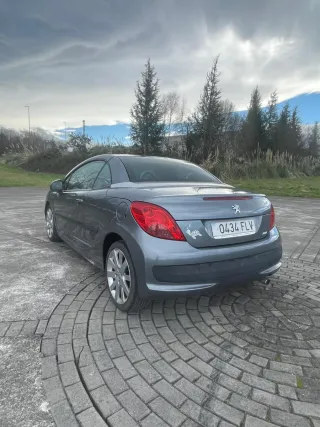 Peugeot 207 2007