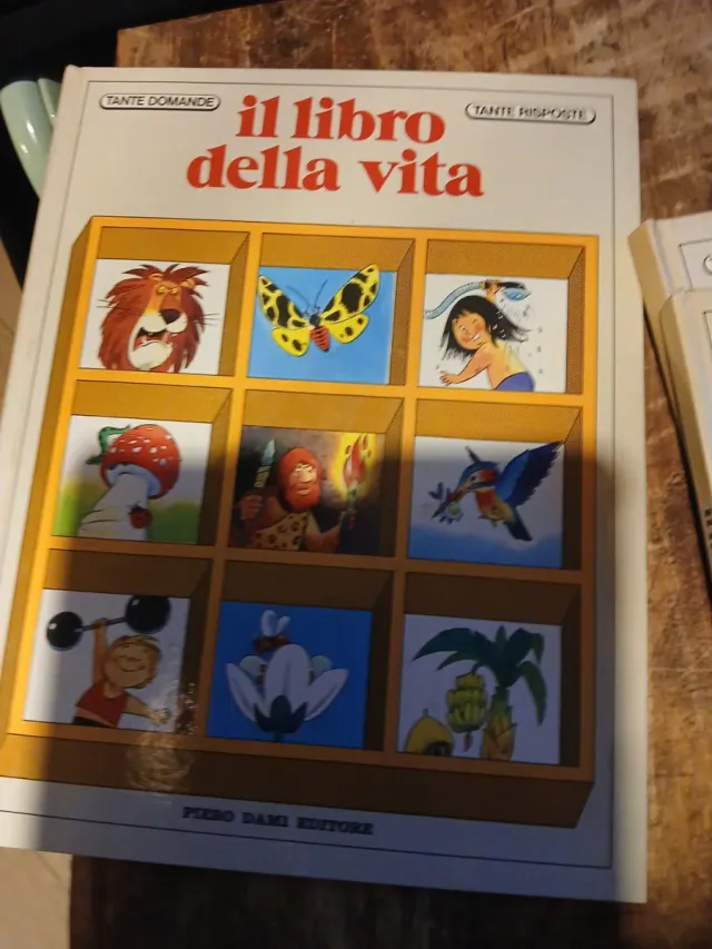 3 libri per bambini