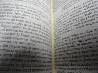 Bodas de Sangre (Letras Hispanicas) (Spanish Ed...