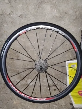 Ruedas Fulcrum Bicicleta Carretera