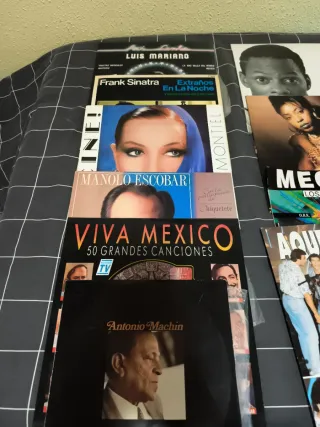 Lote de Discos Vinilo Variados