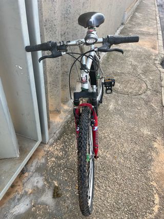 Bicicleta de montaña plateada