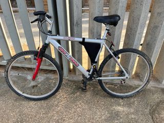 Bicicleta de montaña plateada