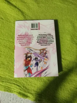 Saint Seiya The lost canvas