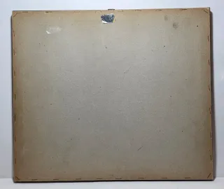 Quadro stampa combattimento tra galli acquarellata