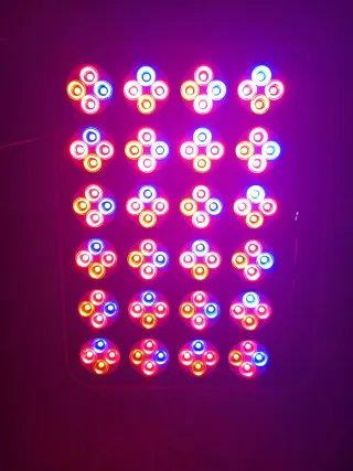 Dispositivo luz roja