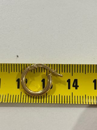 Orecchini cerchietti oro