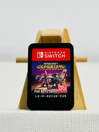 MINECRAFT DUNGEON SWITCH