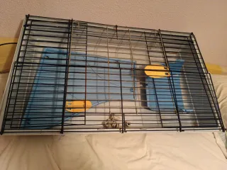 Jaula grande para roedores