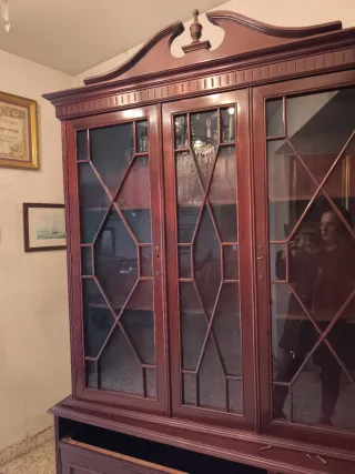 Vitrina desmontable de madera aglomerada y cristal