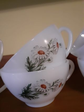 10 Arcopal Margaritas