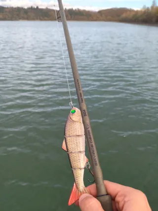 Caña Savage Gear SG4 50-100gr