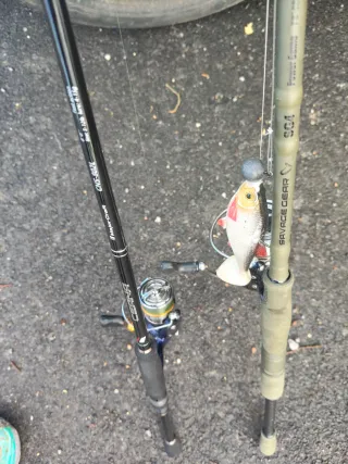 Caña Savage Gear SG4 50-100gr