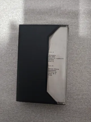 Bertín Osborne - Como un Vagabundo Cassette