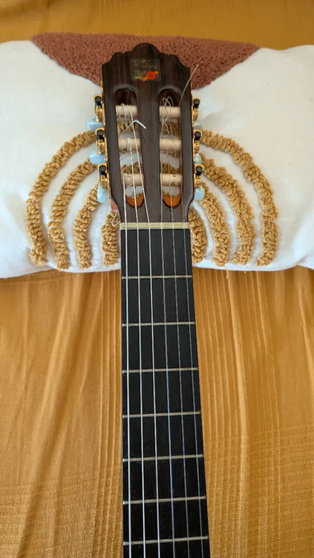 Guitarra Alhambra 4P