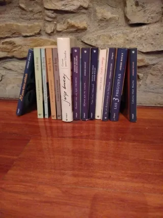 Lote 14 libros de Jorge Bucay+ REGALO