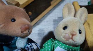 Casa Sylvanian Families